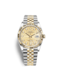 Datejust-126233-36mm-Golden.png