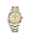 Datejust-126333-41mm-Golden-Oyster.png